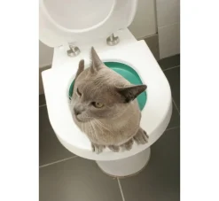 Litter Kwitter Toilet Training Systeem Voor Katten- Kattenbak