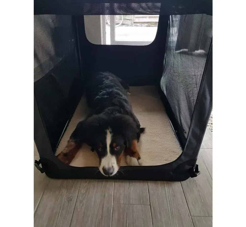 Maelson Reisbench Hond Soft Kennel Antraciet- Reisbench Hond