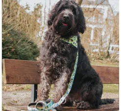 Max & Molly Hondenriem Multi Function Black Sheep- Puppy Riem