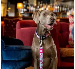 Max & Molly Hondenriem Multi Functioncherry Bloom- Puppy Riem
