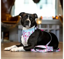 Max & Molly Hondenriem Multi Functioncherry Bloom- Puppy Riem