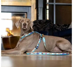 Max & Molly Hondenriem Multi Function Aloha- Puppy Riem