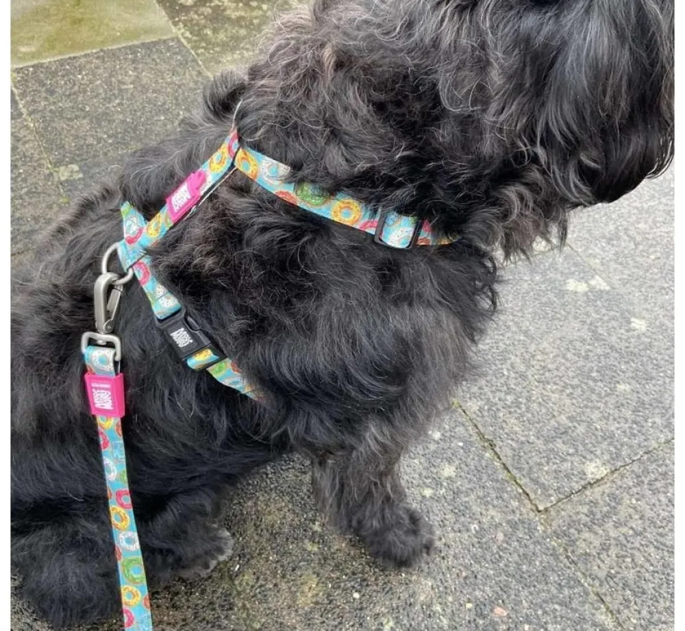 Max & Molly Hondentuig Donuts- Puppy Tuig & Puppy Harnas