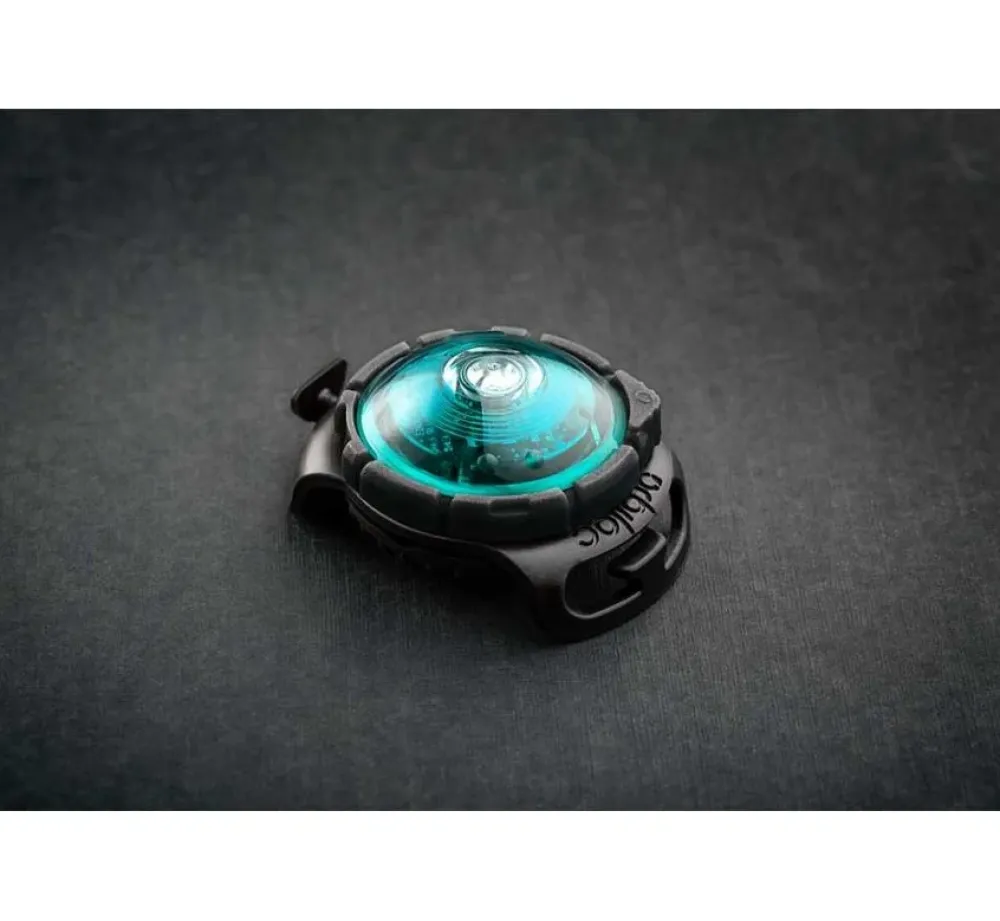 Orbiloc Veiligheidslamp Dog Dual Light Turquoise- Hondenhalsband