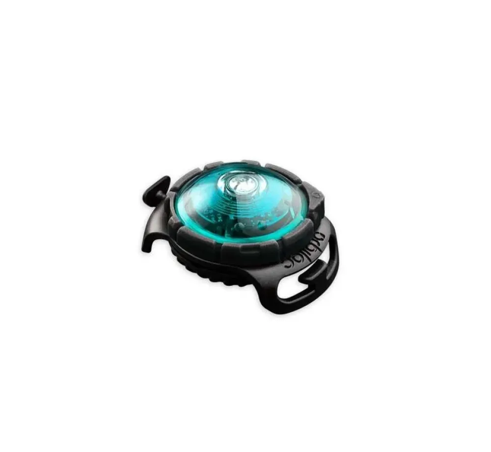 Orbiloc Veiligheidslamp Dog Dual Light Turquoise- Hondenhalsband