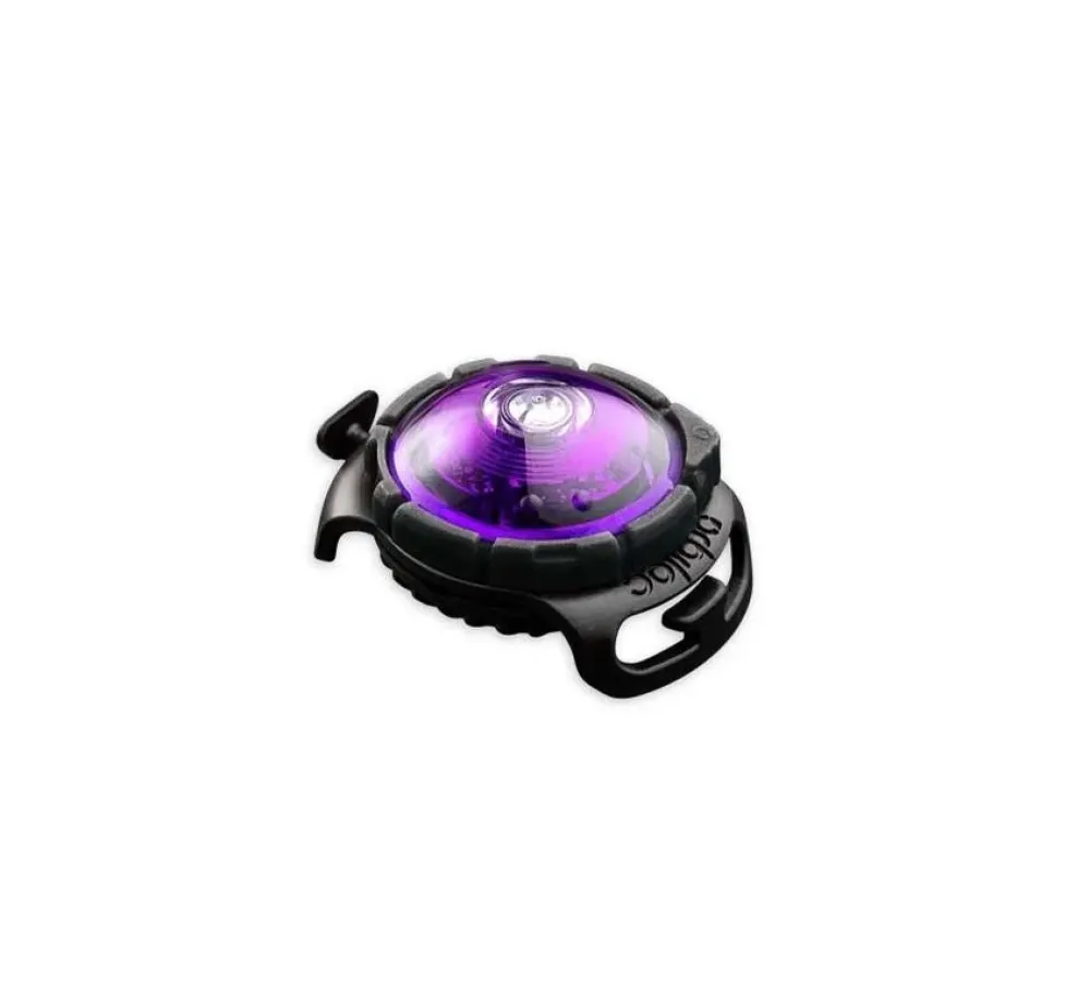 Orbiloc Veiligheidslamp Dog Dual Light Paars- Hondenhalsband