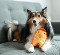 Outward Hound Hondenspeelgoed Invincibles Mini Chicky- Puppy Speelgoed
