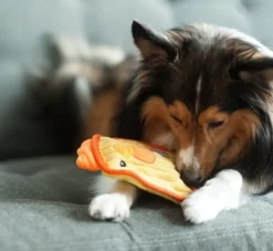 Outward Hound Hondenspeelgoed Invincibles Mini Chicky- Puppy Speelgoed