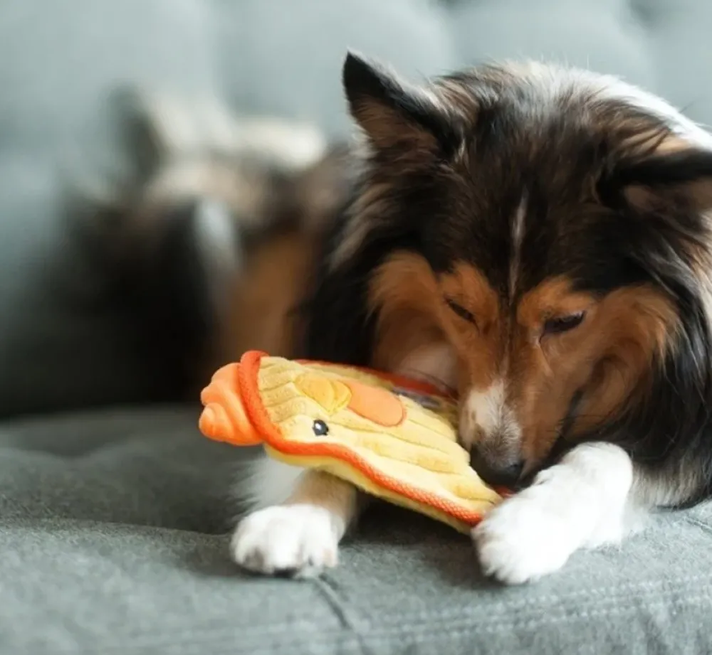 Outward Hound Hondenspeelgoed Invincibles Mini Chicky- Puppy Speelgoed