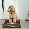 Pet Rebellion Droogloopmat Stop Muddy Paws Bruin- Droogloopmat Hond
