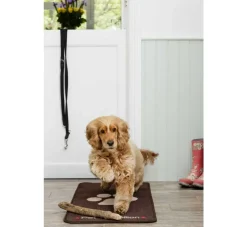 Pet Rebellion Droogloopmat Stop Muddy Paws Bruin- Droogloopmat Hond