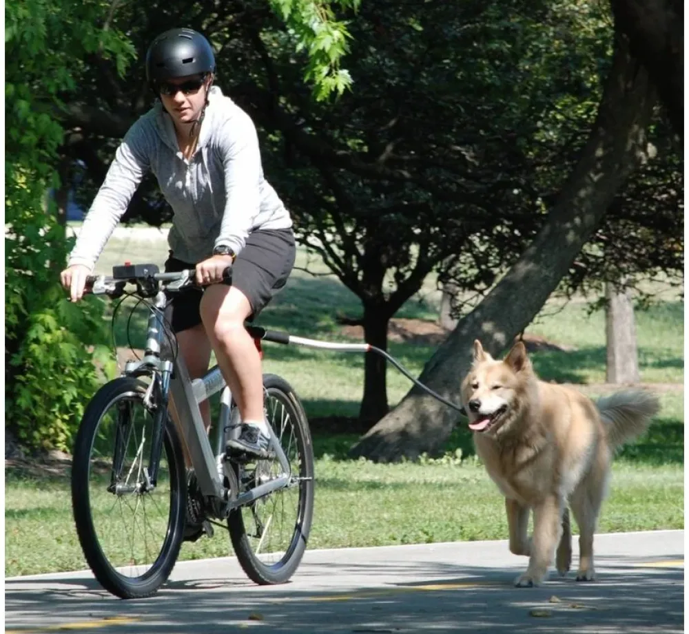 Petego Fiets Aanlijnriem Cycleash- Voor De Fiets