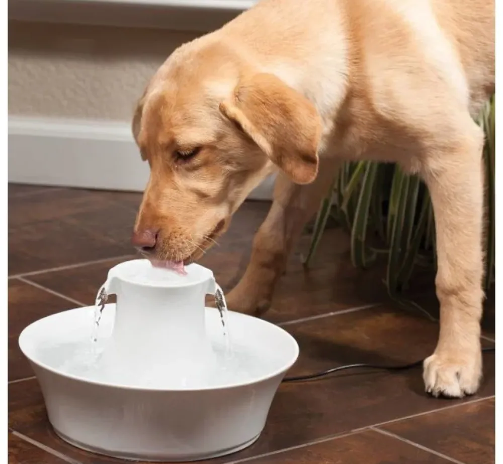 Petsafe Drinkfontein Drinkwell Avalon- Voerbakken