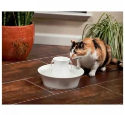 Petsafe Drinkfontein Drinkwell Avalon- Voerbakken
