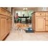 Petsafe Drinkfontein Drinkwell Pagoda Blauw- Voerbakken