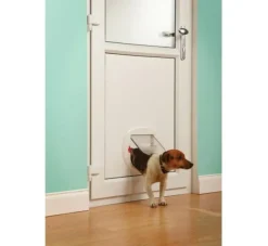 Petsafe Staywell Wit Hondenluik Voor Kleine Honden- Hondenluik