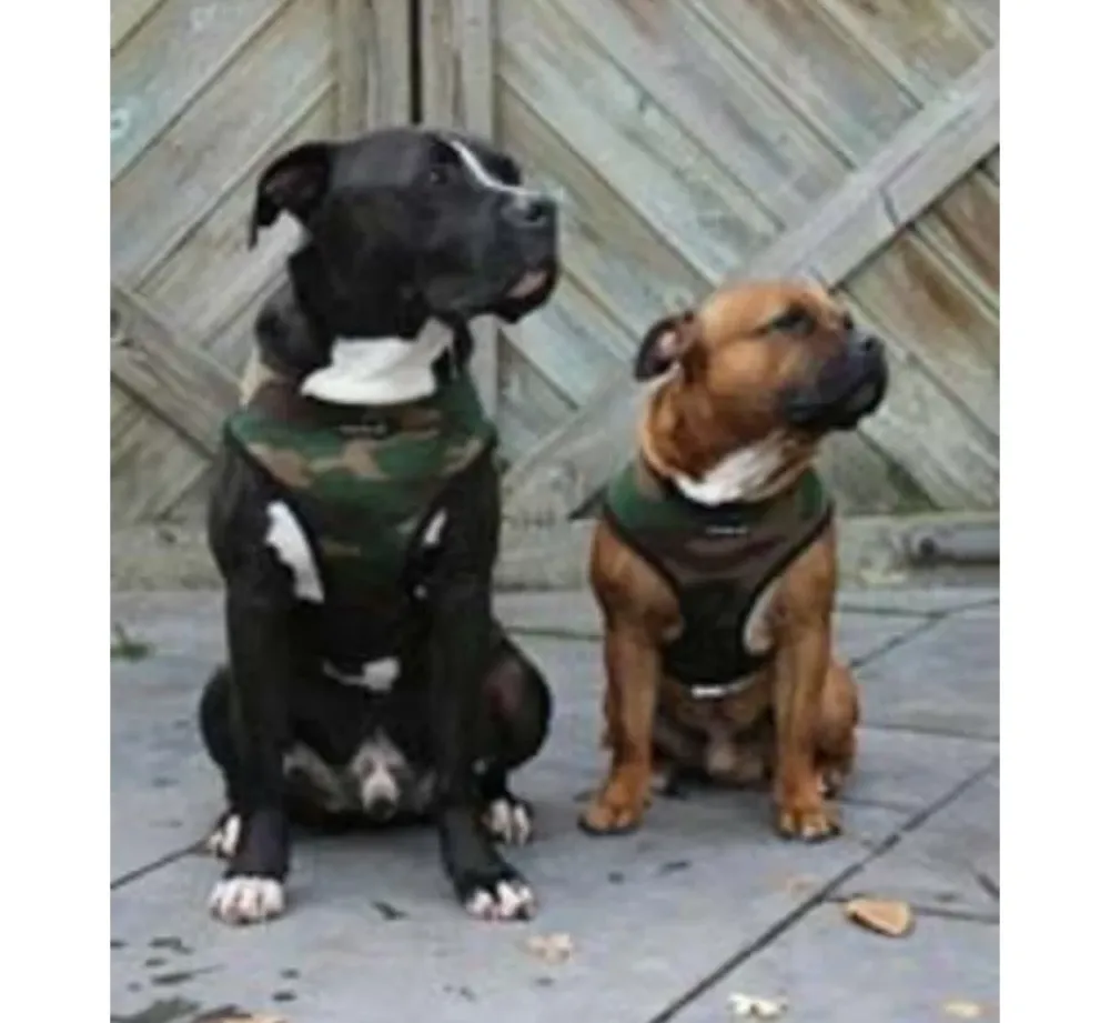 Puppia Hondentuig Soft Harness Camouflage- Puppy Tuig & Puppy Harnas