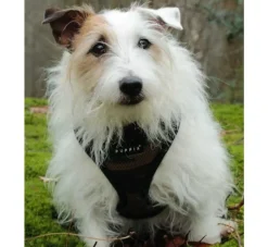 Puppia Hondentuig Soft Harness Camouflage- Puppy Tuig & Puppy Harnas