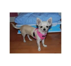 Puppia Hondentuig Soft Harness Roze- Puppy Tuig & Puppy Harnas