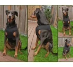 Puppia Hondentuig Soft Harness Zwart- Puppy Tuig & Puppy Harnas