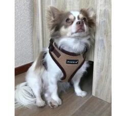 Puppia Hondentuig Soft Harness Beige- Puppy Tuig & Puppy Harnas