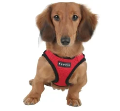 Puppia Hondentuig Soft Harness Rood- Puppy Tuig & Puppy Harnas
