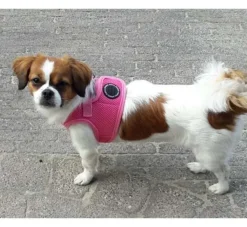 Puppia Hondentuig Soft Vest Roze- Puppy Tuig & Puppy Harnas