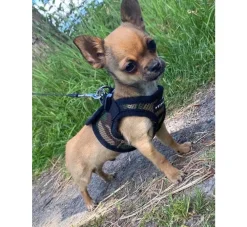 Puppia Hondentuig Soft Vest Camouflage- Puppy Tuig & Puppy Harnas