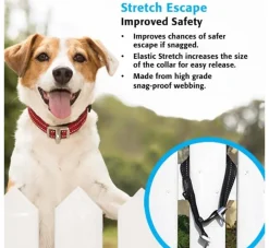 Rogz Hondenhalsband Safety Zwart- Hondenhalsband