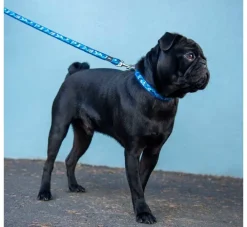 Rogz Hondenriem Fashion Blauw- Puppy Riem