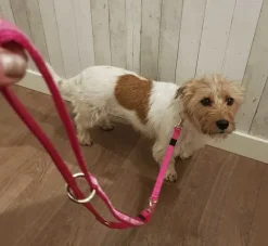 Rogz Hondenriem Multi Purpose Pink Paw- Puppy Riem