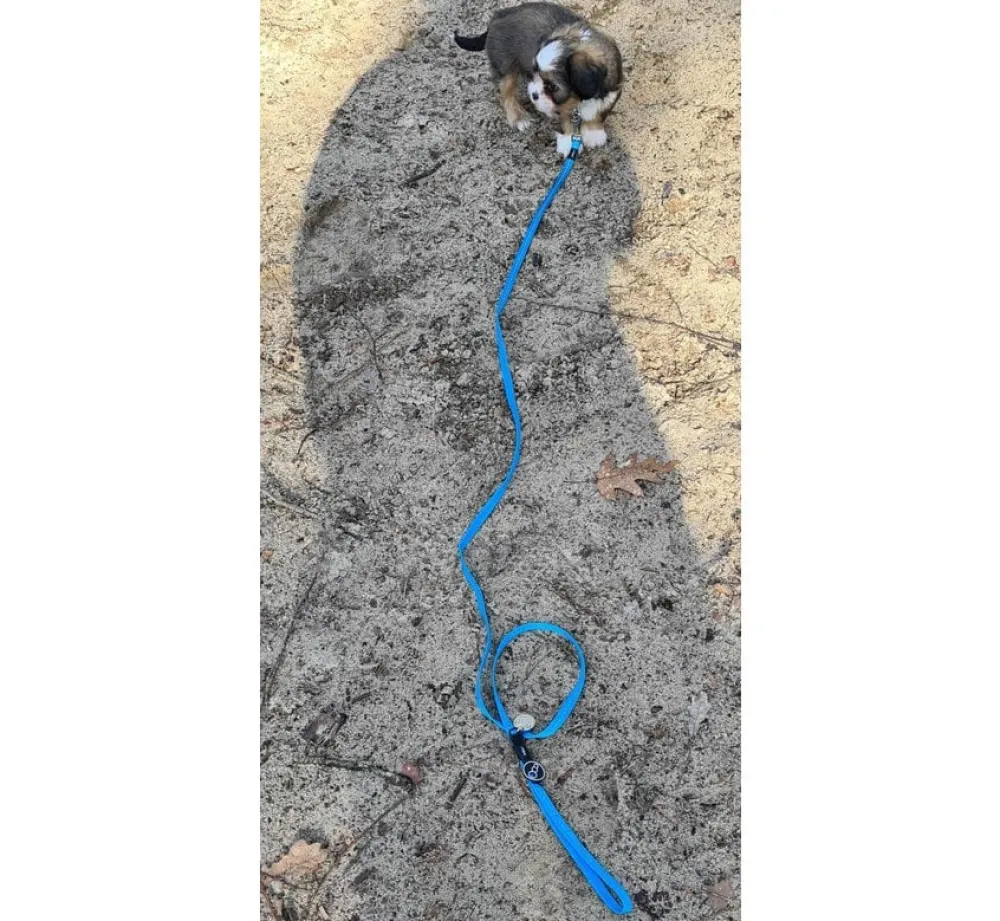 Rogz Hondenriem Utility Turquoise- Puppy Riem