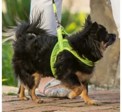 Rogz Hondentuig Fast Fit Geel- Puppy Tuig & Puppy Harnas