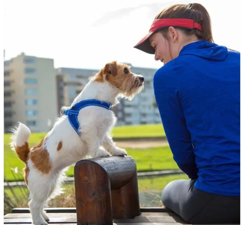 Rogz Hondentuig Fast Fit Blauw- Puppy Tuig & Puppy Harnas