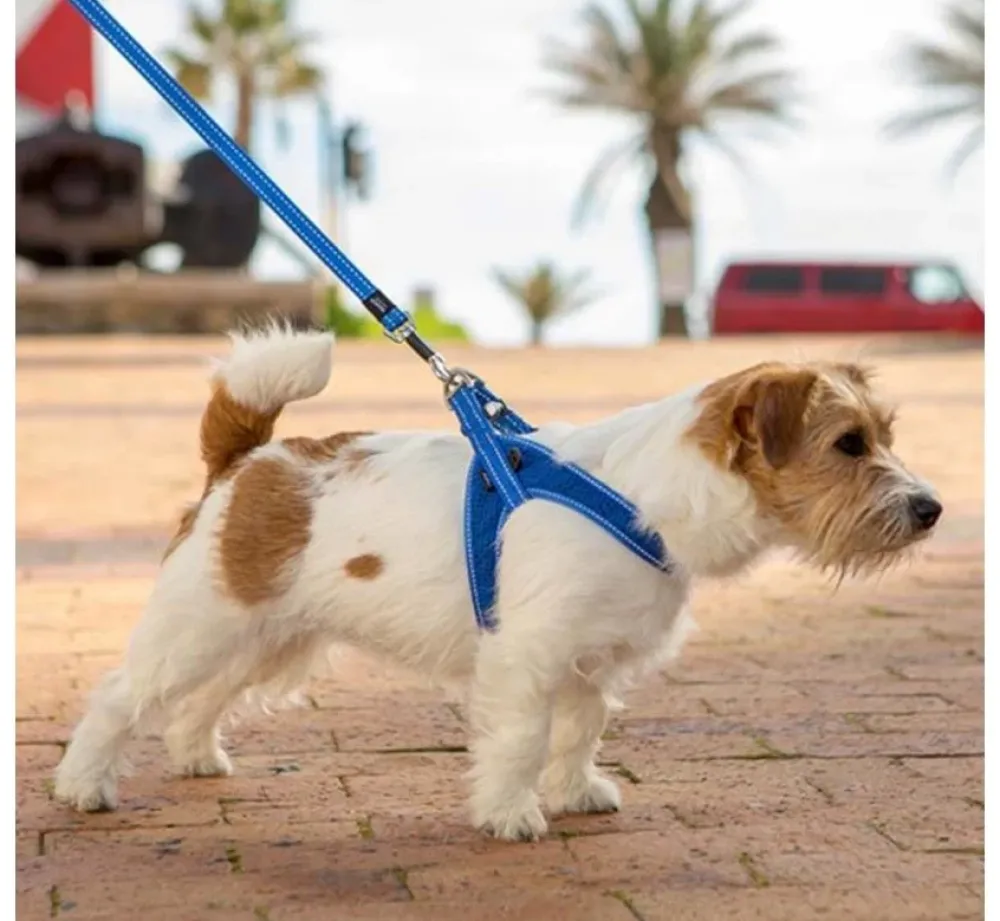 Rogz Hondentuig Fast Fit Blauw- Puppy Tuig & Puppy Harnas