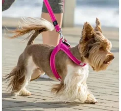 Rogz Hondentuig Fast Fit Roze- Puppy Tuig & Puppy Harnas