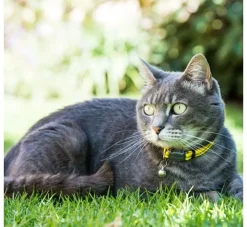 Rogz Kattenhalsband Alleycat Geel- Kattenhalsband