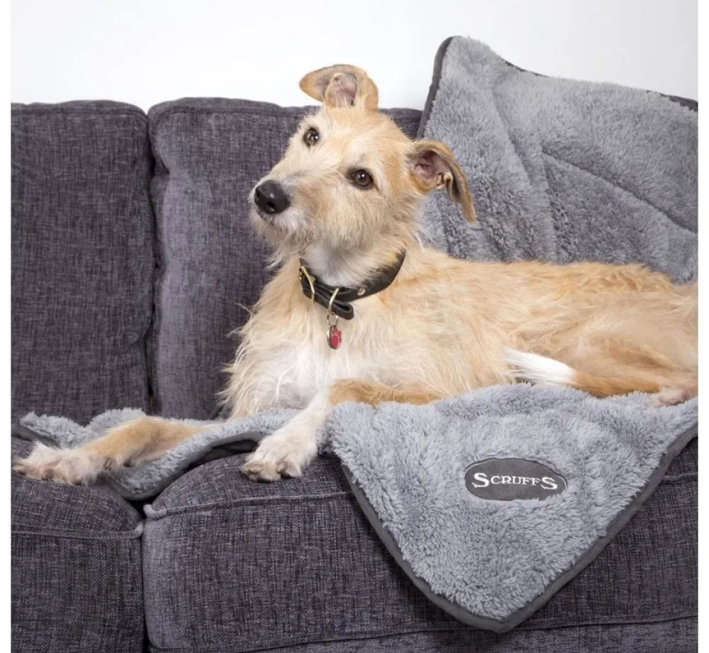 Scruffs Hondendeken Cosy Blanket Grijs- Hondendeken