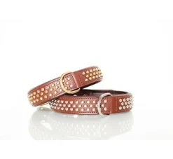 Sebastian Hondenhalsband Bengal Messing- Hondenhalsband