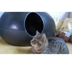 Sindesign Kattenbak Poopoopeedo Zwart- Kattenbak