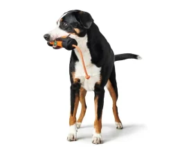 Hunter Trainer Snack Dummy Met Touw- Beloningszakje