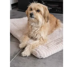 TrendPet Hondendekenharmony Beige- Hondendeken