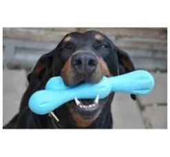 West Paw Design Hondenspeelgoed Zogoflex Hurley Aqua- Voor De Boot