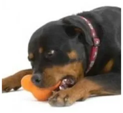 West Paw Design Hondenspeelgoed Zogoflex Tux Oranje- Voor De Boot